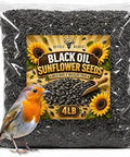 Office Roast Premium Black Sunflower Seeds ÃƒÆ’Ã†â€™Ãƒâ€šÃ‚Â¢ÃƒÆ’Ã‚Â¢ÃƒÂ¢Ã¢â€šÂ¬Ã…Â¡Ãƒâ€šÃ‚Â¬ÃƒÆ’Ã‚Â¢ÃƒÂ¢Ã¢â‚¬Å¡Ã‚Â¬Ãƒâ€¦Ã¢â‚¬Å“ | 4 LB Bulk Value Pack | Natural Wild Bird Seed for Backyard Feeders, High-Energy Food for Songbirds
