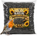 Office Roast Premium Black Sunflower Seeds ÃƒÆ’Ã†â€™Ãƒâ€šÃ‚Â¢ÃƒÆ’Ã‚Â¢ÃƒÂ¢Ã¢â€šÂ¬Ã…Â¡Ãƒâ€šÃ‚Â¬ÃƒÆ’Ã‚Â¢ÃƒÂ¢Ã¢â‚¬Å¡Ã‚Â¬Ãƒâ€¦Ã¢â‚¬Å“ | 4 LB Bulk Value Pack | Natural Wild Bird Seed for Backyard Feeders, High-Energy Food for Songbirds