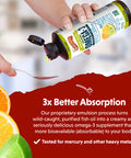 Barlean's Citrus Sorbet High Potency Omega 3 Fish Oil Liquid Supplement 1500Mg Of Epa and Dha Fatty Acid Smoothie Flavored and Burpless For Brain Joint and Heart Health 16 Oz