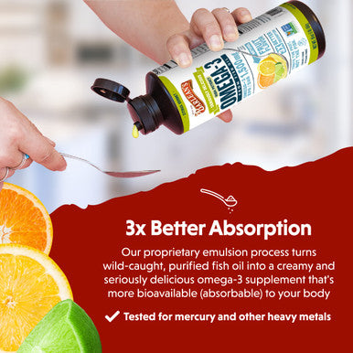 Barlean's Citrus Sorbet High Potency Omega 3 Fish Oil Liquid Supplement 1500Mg Of Epa and Dha Fatty Acid Smoothie Flavored and Burpless For Brain Joint and Heart Health 16 Oz