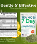 Atlantic Naturals Sea Moss 7 Day Detox Liver Gallbladder & Kidney Cleanse - Support With Dandelion Root Milk Thistle Burdock Root Red Clover Chanca Piedra - Pineapple Flavor Drink Mix (14 Oz)