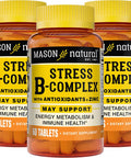 Mason Natural Stress B-Complex With Antioxidants + Zinc, 6 Month Supply, Dual Action Formula, Supports Energy Metabolism & Immune Health, 3 Pack