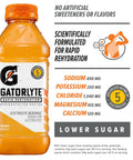 Gatorlyte Rapid Rehydration Orange Electrolyte Beverage,20 Fl Oz Bottle