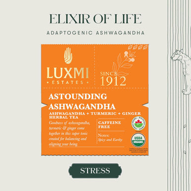 Luxmi Estates - Astounding Ashwagandha - Organic Ashwagandha Tea - 90 Tea Bags (15ct x 6 pack) | With Ashwagandha Turmeric Ginger Lemongrass & More | Perfect Stress Relief Tea - Calming and Relaxing