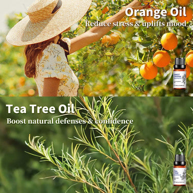 Essential Oils for Diffusers for Home,Natural Pure Aromatherapy Oils Gift Set for Humidifiers,Skin Care,Hair Care,Massage,Spray,Soak Making