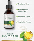 Carlyle Holy Basil Extract Liquid | 2 Fl Oz | Tulsi Herb Tincture | Vegetarian | Non-GMO Gluten Supplement