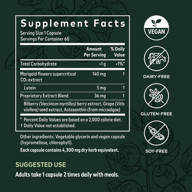 Gaia Herbs Healthy Vision - Vision Support Supplement to Help Maintain Eye Health - with Bilberry, Grape Seed, and Lutein from Marigold Flowers* - 60 Vegan Liquid Phyto-Caps (30-Day Supply)