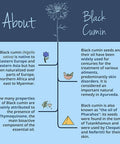 Black Cumin Seed Oil VegaveroÃƒâ€šÃ‚Â® | 100% Organic | 180 Vegan Capsules (GreenCapsÃƒâ€šÃ‚Â®) | Cold Pressed Nigella Sativa | No Additives