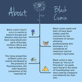 Black Cumin Seed Oil VegaveroÃƒâ€šÃ‚Â® | 100% Organic | 180 Vegan Capsules (GreenCapsÃƒâ€šÃ‚Â®) | Cold Pressed Nigella Sativa | No Additives