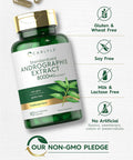 Carlyle Andrographis Paniculata Capsules | 8000 mg | 90 Count | Non-GMO & Gluten Supplement