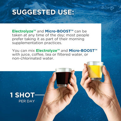 Beam Minerals Travel Pack Electrolyte & Micronutrient Support On-The-Go Micro-Boost 2 Oz, Electrolyze 2 Oz & Insta-Lytes 2 Oz