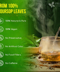 FreshDrinkUS, Premium 50 Mulberry Leaf Tea Bags, 100% Natural & Pure from Mulberry Leaves. Herbal Tea. Made with Natural Material Tea Bags. No Sugar, No Caffeine, No Gluten, Vegan.