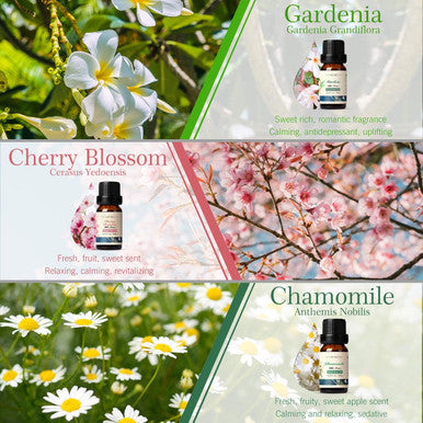 Floral Essential Oils Set, ARVIDSSON Pure Floral Collection with Lavender, Rose, Ylang Ylang, Cherry Blossom, Chamomile, Gardenia Essential Oils For Diffusers, Aromatherapy, Massage, 6x10ML