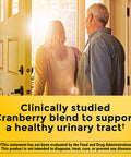 Nature Made Cranberry Supplement 500Mg With Vitamin C For Immune & Antioxidant Support Cranberry Blend For Urinary Tract Health One Per Day 60 Capsules