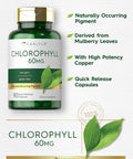 Carlyle Chlorophyll Pills | 90 Capsules | Naturally Occurring Pigment | Chlorophyll Concentrate Supplement | Non-GMO Gluten Complex
