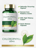 Carlyle Chlorophyll Pills | 90 Capsules | Naturally Occurring Pigment | Chlorophyll Concentrate Supplement | Non-GMO Gluten Complex
