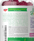 Carlyle Elderberry Gummies for Kids | 120 Count | Zinc and Vitamin C | Berry Flavor | Vegan Non-GMO and Gluten | by Lil' Sprouts