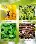 Nature'S Sunshine Energ-V 100 Capsules