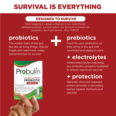 Probulin Colon Support Probiotic 30 Capsules
