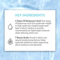 Bliss Drench Quench Hyaluronic Acid Serum 4 Hyaluronic Acids Amino Acids for All Day Moisture Clean CrueltyFree Paraben Free Vegan 1.0 oz