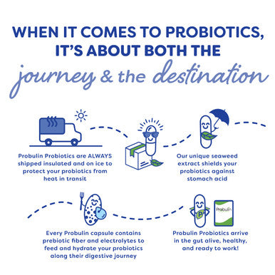Probulin Daily Care Probiotic for Digestive and Immune Support 30 Capsules