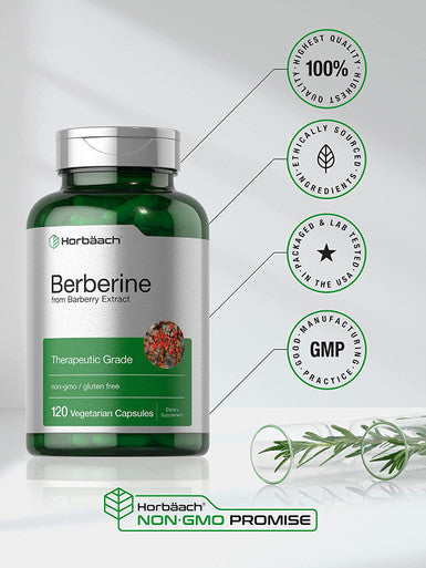 Berberine Supplement 120 Capsules Berberine HCl from Barberry Extract Non-GMO Gluten Free