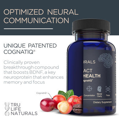 Neuroact Brain Health Memory, Focus, Concentration, Mental Clarity With Cognatiq, Vitamin B3 & B6 Manage Stress & Elevate Mood Holistic Brain Health Formula, Sustained Energy & Well Being