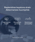 Pendulum Akkermansia 30 capsules