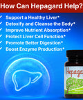 Hepagard Natural Liver Support Supplement With N Acetyl Cysteine (Nac)