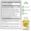 Terry ly Arthocin - 60 Vegan Capsules - Joint & Cartilage Support Supplement, Optimizes Comfort, Mobility & Flexibility - Non-GMO, Gluten-Free - 30 Servings