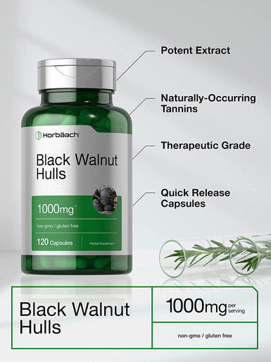 Black Walnut Hulls 1000 mg 120 Capsules