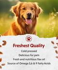 Barlean'S Flaxseed Oil For Animals Pet Essential Liquid Omega 3 Fatty Acids Cat And Dog Oil Supplements For Skin And Coat Omega 3 For Dogs Cats And Other Pets 12 Oz