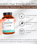 Thyroid Support Supplement With Iodine, Kelp, Ashwagandha, Selenium & Zinc - Supports Energy, Metabolism & Thyroid Health - L-Tyrosine, Schisandra & Bladderwrack - 60 Capsules