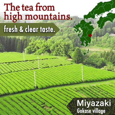 Yamasan Kyoto Uji Japanese Organic Black Tea Loose Leaf 100% made in Japan 100g tea leaves YAMASAN