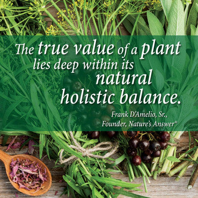 Nature'S Answer Alcohol- Echinacea with Natural Grape Flavor 1-Fluid Ounce | Promotes Overall Wellness | Natural Immune Booster | Inflammatory Reducer