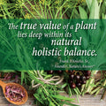 Nature'S Answer Organic Astragalus Root Fluid Extract 1 Oz - Low Alcohol Non GMO Gluten Vegan Immune & Cardiovascular Support Stress Relief Made in USA 1 Fluid Ounce