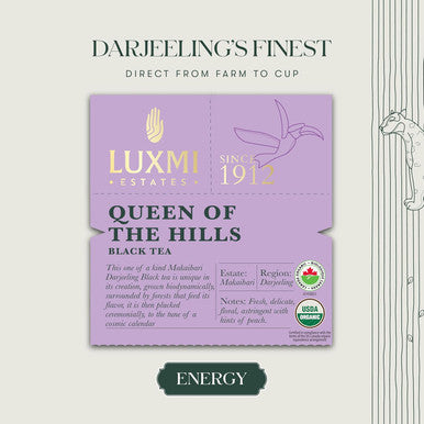 Luxmi Estates - Queen of the Hills - Organic Black Tea - Loose Leaf - 250g (125 cups) | Freshly Harvested Organic Darjeeling Tea | Best Natural Flavor Tea The World Has To Offer