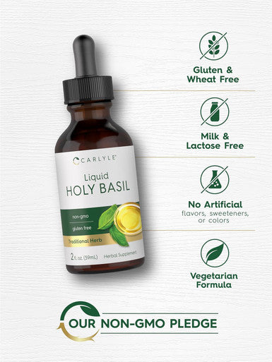 Carlyle Holy Basil Extract Liquid | 2 Fl Oz | Tulsi Herb Tincture | Vegetarian | Non-GMO Gluten Supplement