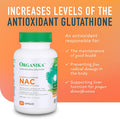 Organika Nac (N-Acetyl-L-Cysteine) 500Mg + Organika Quercetin With Bromelain | Immune & Liver Support Bundle