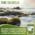 Xprs Nutra Organic Chlorella Powder - Broken Cell Wall Chlorophyll Powder - Chlorella Organic Powder For Immunity - Vegan Friendly Chlorella Powder Organic For Complete Protein (4 Ounce)