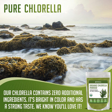 Xprs Nutra Organic Chlorella Powder - Broken Cell Wall Chlorophyll Powder - Chlorella Organic Powder For Immunity - Vegan Friendly Chlorella Powder Organic For Complete Protein (4 Ounce)