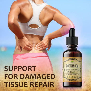 HERBALICIOUS Ecea Supplement - Natural Root Extract Liquid Drops - Antioxidant Rich Formula For Immune Function Support - Vegan Herbal Tincture - Non-Gmo, Alcohol-Free & Gluten-Free - 2 Fl. Oz.