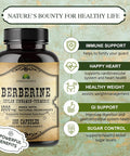 Herbalicious Berberine Capsules Ceylon Cinnamon & Turmeric - Berberine HCL Dietary Supplement for Men and Women Non GMO Berberine 1000mg Ideal for Immune Support Heart Cholesterol Level
