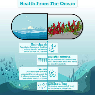 Natural Daily Multi by Kala Health a unique mix of marine algae and ocean water concentrate rich in amino acids vitamins minerals trace elements and fatty acids all in natural form 100 Vegan