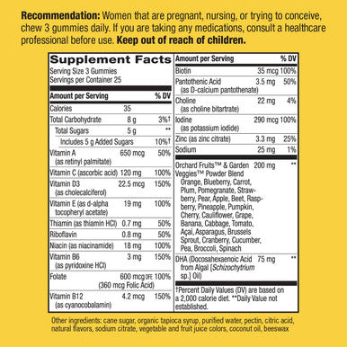Natures Way Alive! Complete Premium Prenatal Gummy Multivitamin, High Potency Folate, Plant-Based DHA, Vegetarian, Strawberry and Lemon Flavored Gummies, 75 Gummies