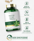 Carlyle Neem Leaf | 950mg | 150 Powder Capsules | Non-GMO and Gluten Formula | Value Size | Traditional Herbal Supplement | Azadirachta Indica