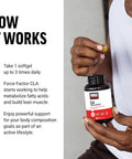 Force Factor CLA Supplements CLA 3000 mg Conjugated Linoleic Acid to Support Body Composition and Lean Muscle Mass Made from Safflower Oil Stimulant Non-GMO 90 Softgels