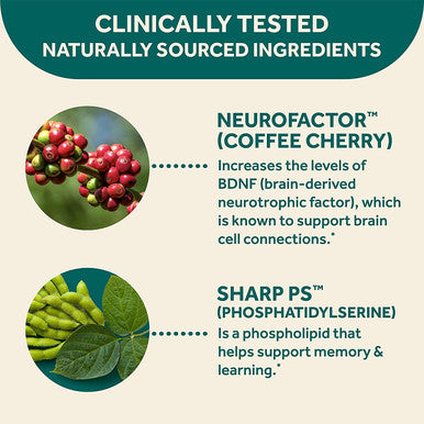 NEURIVA Original Brain Performance 30 count Brain Support Supplement With Natural Ingredients 1 ea Pack of 3