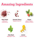 Amazing Grass GLOW Vegan Collagen Support with Biotin and Plant Based Protein Powder, Vanilla Honeysuckle, 15 Servings