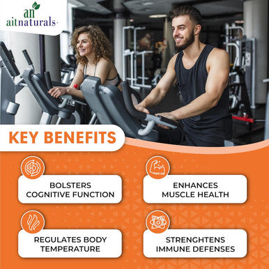 Aitnaturals Iron - 45mg (100 Tablets)| High potency Ferrous Sulphate for Red Blood Cell Production Active Brain Function Prevent Iron Deficiency| Enhance Muscle growth& Regulate Body Temperature